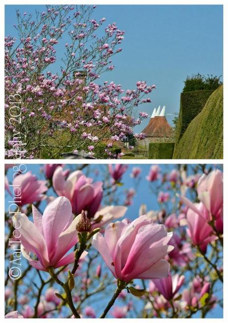 Great Dixter4 (724x1024)