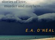 Book Excerpt: Storm Warning E.A. O’Neal