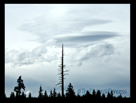 Unfortunate clouds