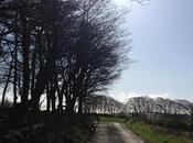 117/365 Things Have Learned from Training Glasgow Women's