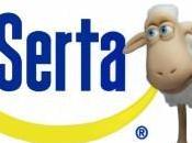 Nature Center’s Cotsworld Sheep Doesn’t Understand Asheville Mayor Fasting Will Save Home