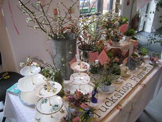 Drooling over teacups