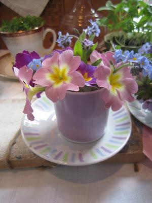 Drooling over teacups