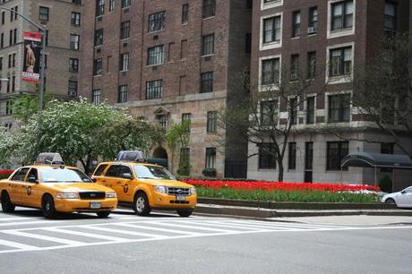 taxis and tulips park avenue new york