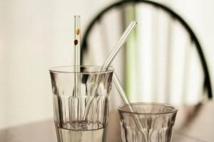 glass dharma glass straws instead of plastic-1