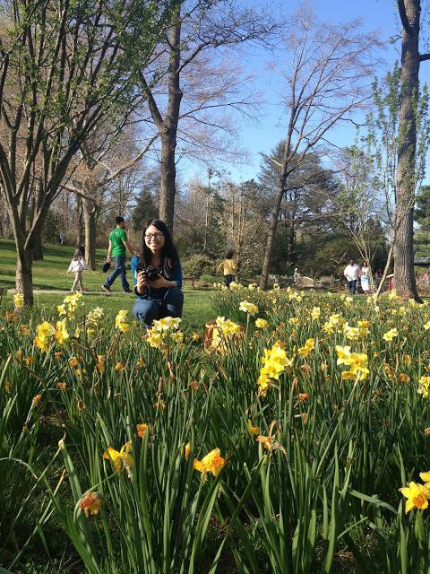 Eastward: Maryland in Bloom