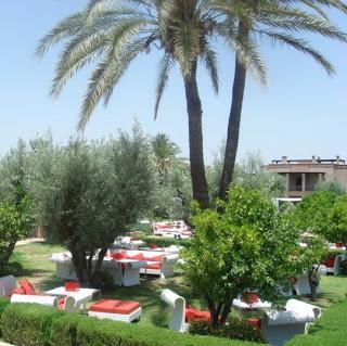 Let's talk about body scrubs Let's talk about body scrubs