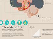 Your Brain Drugs
