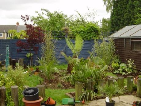 From Lawn to Jungle
