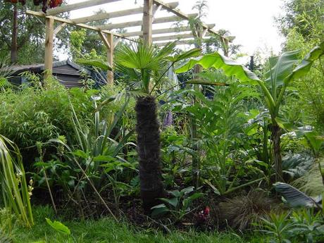 From Lawn to Jungle