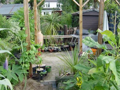 From Lawn to Jungle
