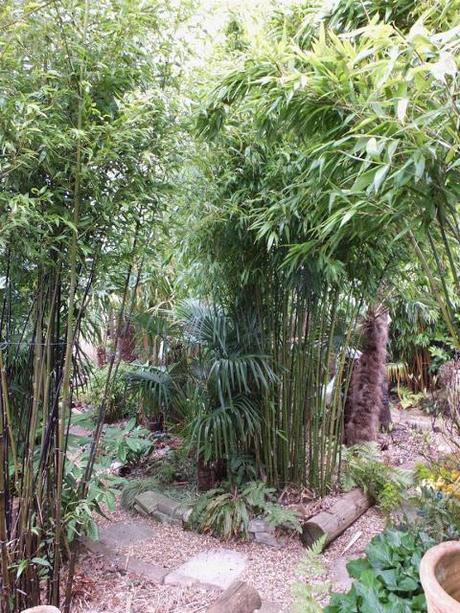 From Lawn to Jungle