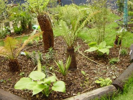 From Lawn to Jungle