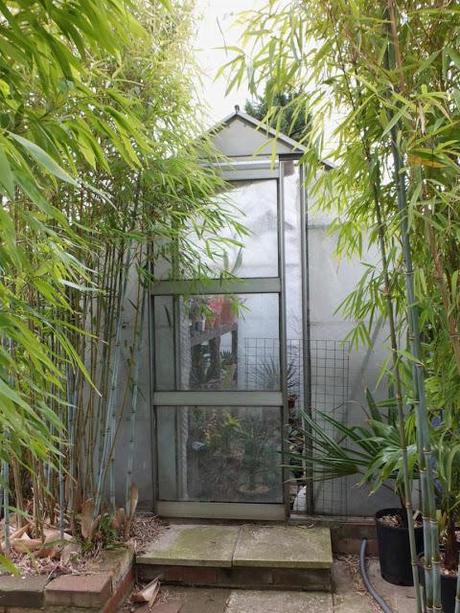 From Lawn to Jungle