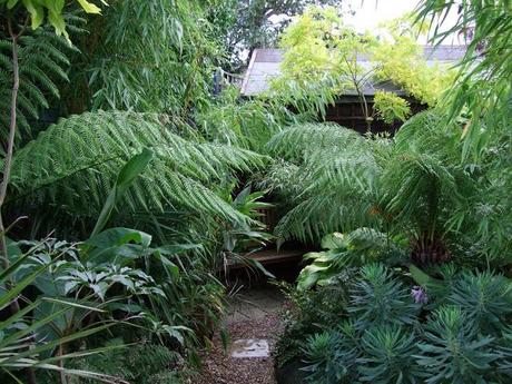 From Lawn to Jungle
