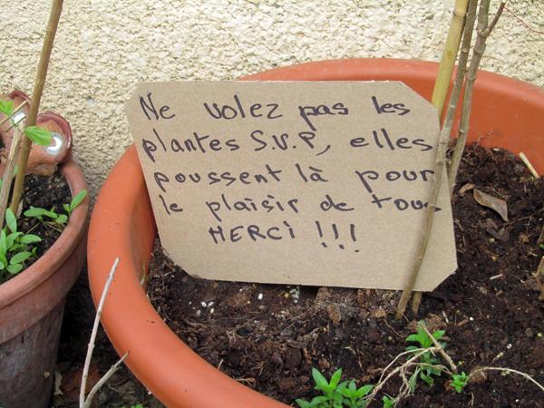 Ne volez pas les plantes