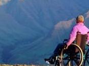 Things Help Your Wheelchair-bound Travel Companion