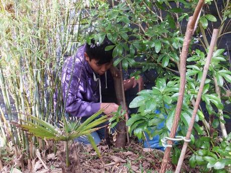 Bountiful Harvest... Bountiful Harvest...