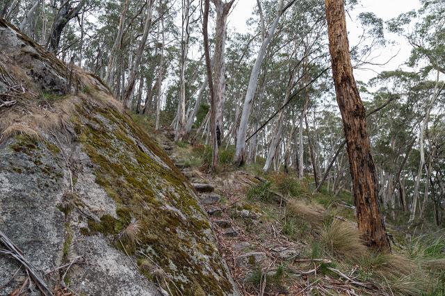 walking track under mount sugarloaf cliff