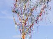 Month May, 1898: Passage from Forthcoming Book About Wilson Bachelor's Work