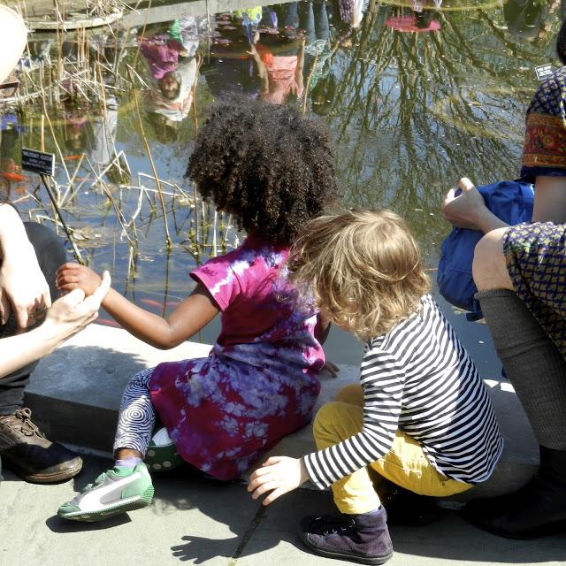 Cherry Blossom Festival,Sakura Matsuri,at Brooklyn Botanical Garden