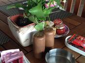 Royal Hotel: Breakfast Just Don’t Want Try!