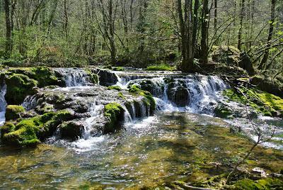 tasting the jura, part 1