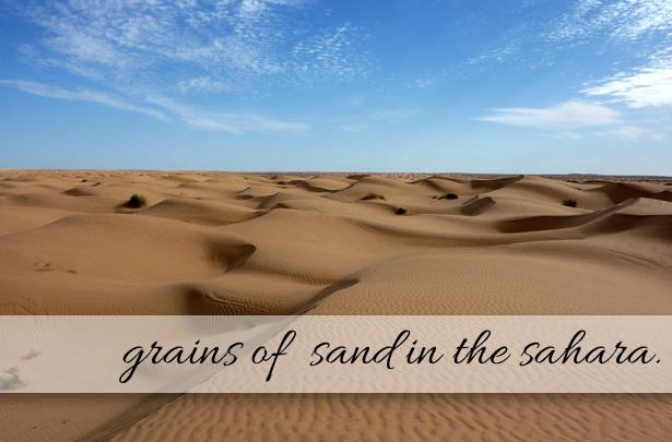 Grains of Sand in the Sahara.