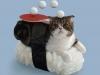 Bizarre Pictures Of Cats Dressed To Look Like Sushi 2