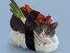Bizarre Pictures Of Cats Dressed To Look Like Sushi 7