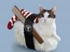 Bizarre Pictures Of Cats Dressed To Look Like Sushi 5
