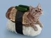 Bizarre Pictures Of Cats Dressed To Look Like Sushi 9