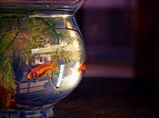 English Hotel Rents Goldfish Guests