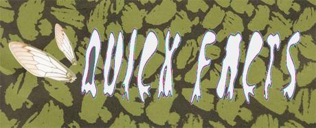 Quick Facts AUSTIN PSYCH FEST 2013 RECAP