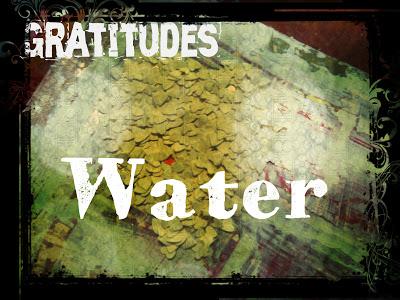 Gratitudes - Water