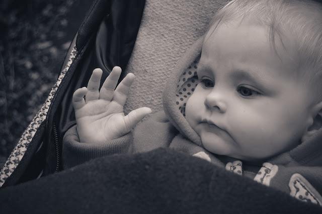 Abigail Olivia :)