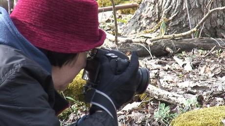 Jean takes pictures of plants at Beamer Memorial Conservation Area,   Grimsby