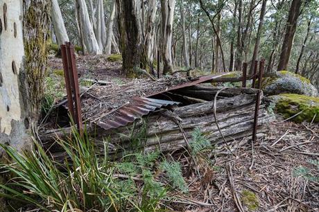 rough structure on mount buangor