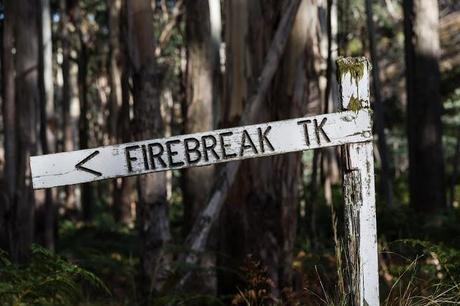 firebreak track sign