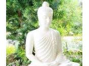 Beautiful Thought Budha Peace Mind.