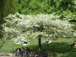 A stroll through “Volkspark Friedrichshain”