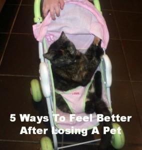 430216 10152023813940232 1943830383 n 284x300 5 Ways To Feel Better After Losing A Pet