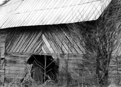 Old Barn
