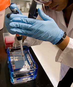 10 Worst Food Contamination Incidents Ever