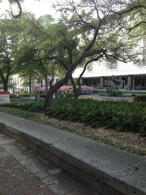 Texas College Tour Part 3: University of Texas at Austin!