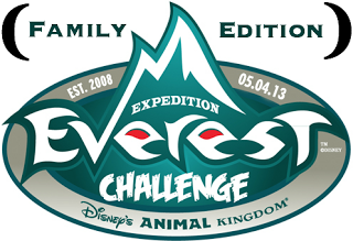 Expedition #EverestChallenge: #DisneySportsEnthusiast Volunteer Experience