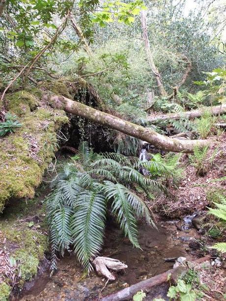 Cornwall Day One Cornwall Day One