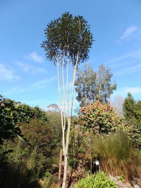 Cornwall Day One Cornwall Day One