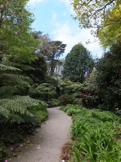 Cornwall Day One Cornwall Day One