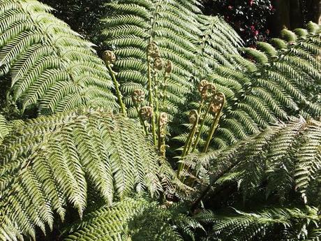 Cornwall Day One Cornwall Day One